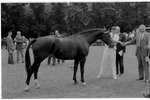 1970 - haw_62700