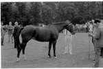 1970 - haw_62701