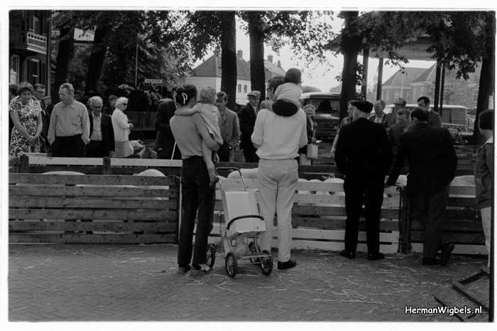 1971 - haw_63784
