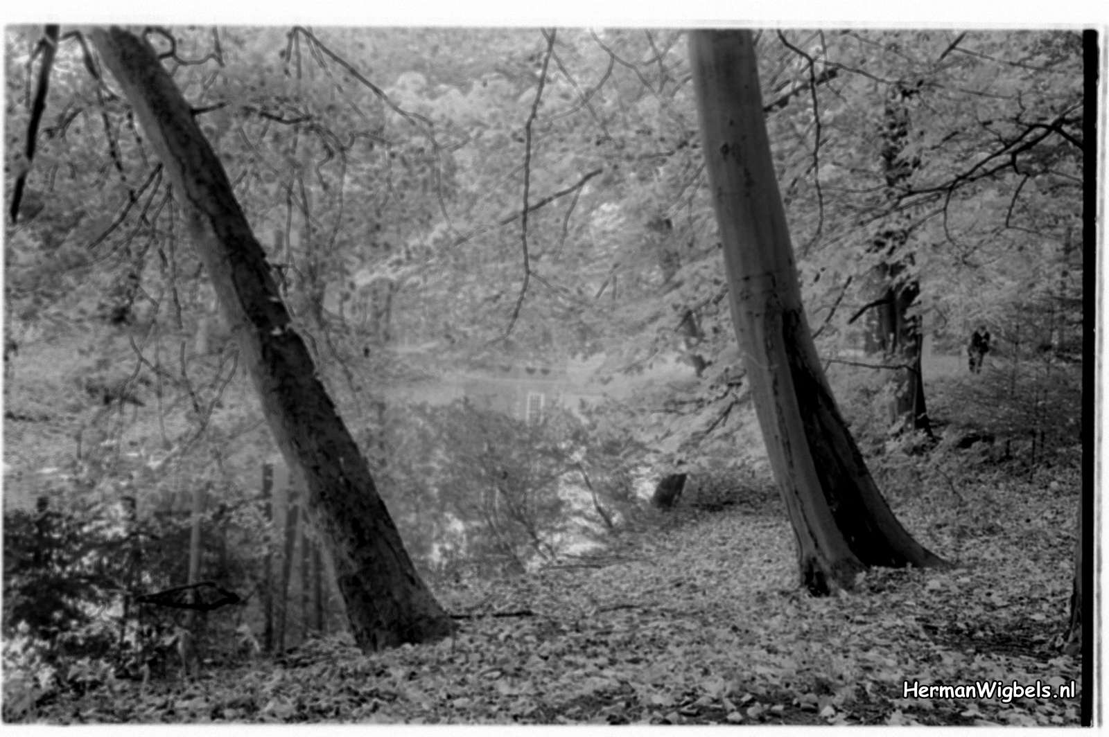 1971 - haw_64090