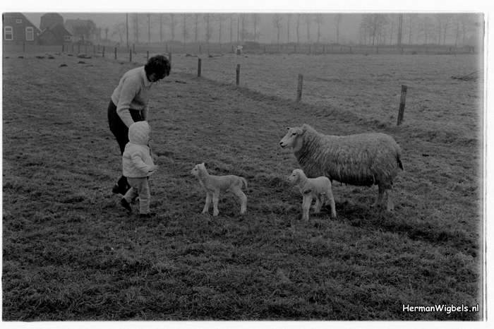 1972 - haw_64662