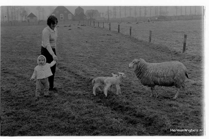 1972 - haw_64663