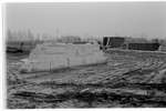 1972 - haw_64775
