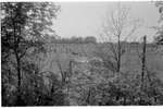 1972 - haw_64838