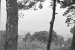 ca. 1962 - haw_71100