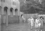 ca. 1962 - haw_71109