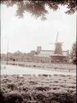 1959 - haw_71271
