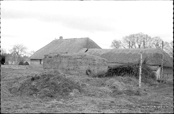 1958 - haw_71275