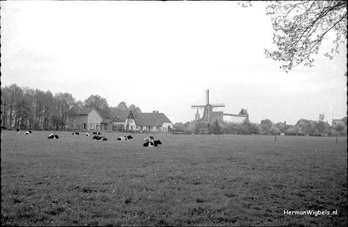 1958 - haw_71279