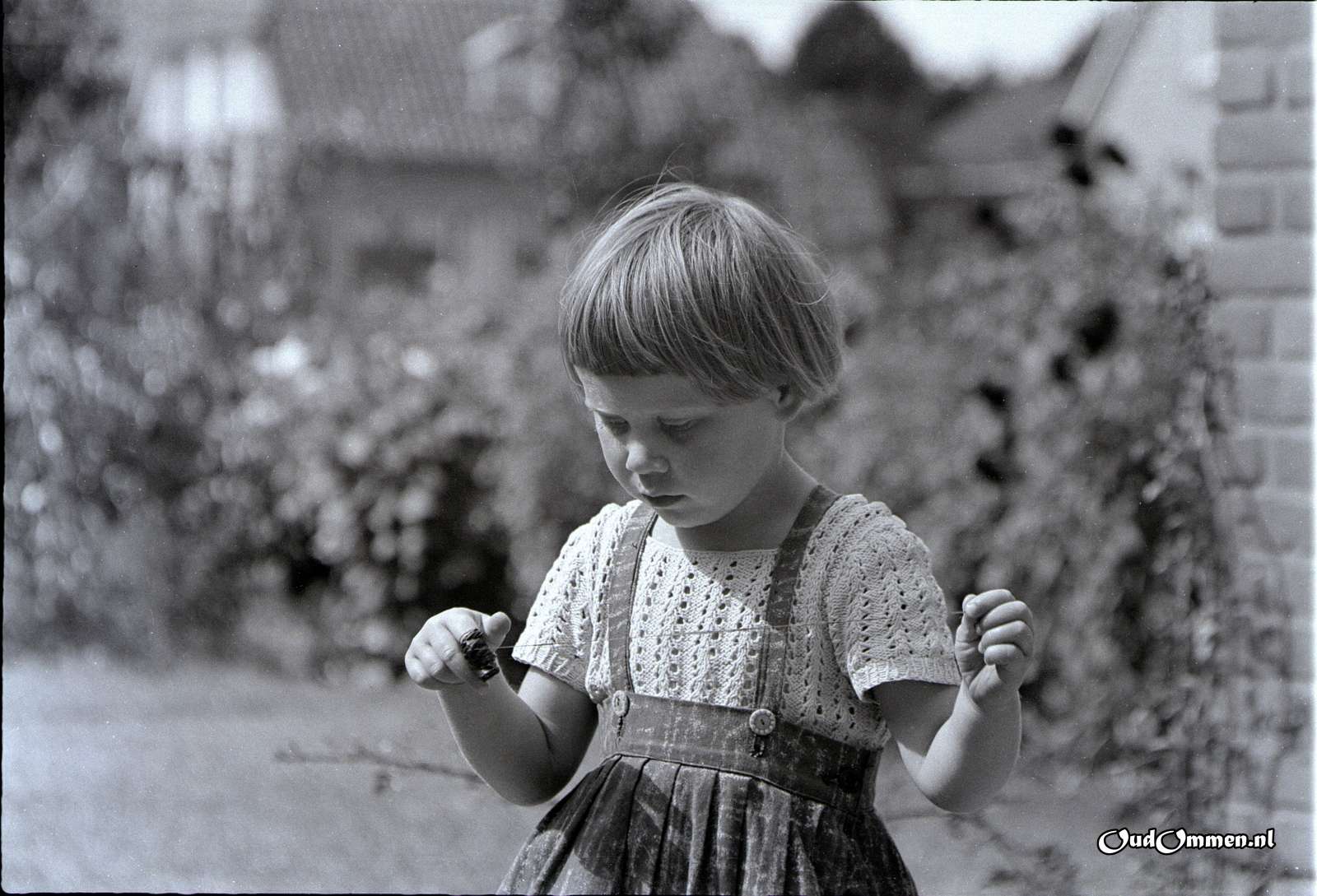 1959 - haw_71369